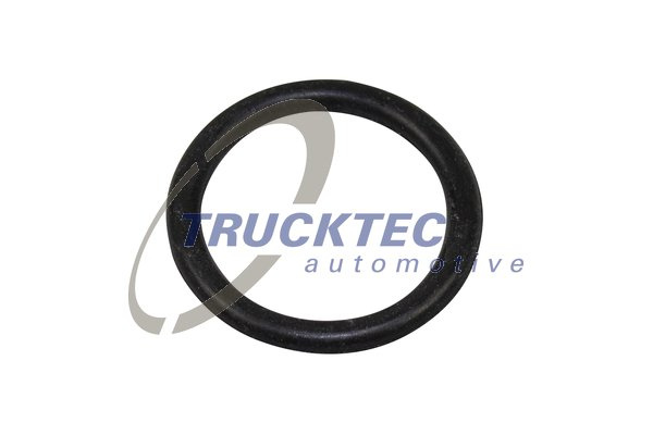 Inel de etansare (0110220 TRUCKTEC)