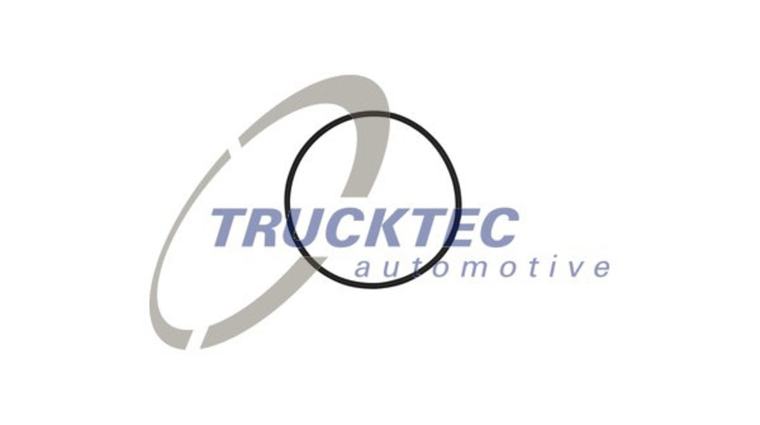 Inel de etansare (0115118 TRUCKTEC)