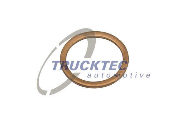 Inel de etansare (0167041 TRUCKTEC)