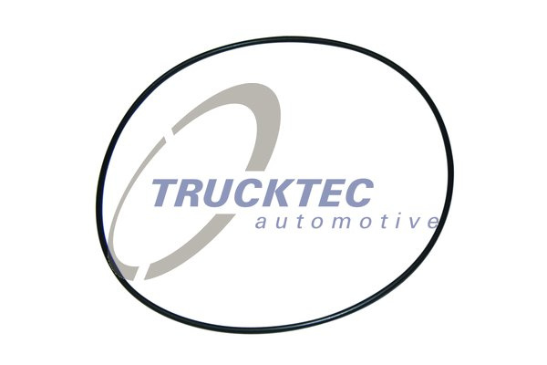 Inel de etansare (0167094 TRUCKTEC)