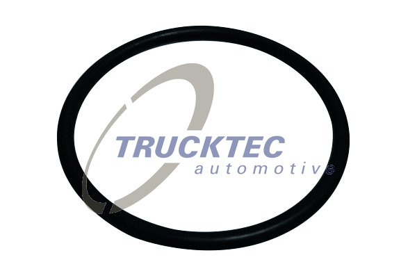 Inel de etansare (0167158 TRUCKTEC)