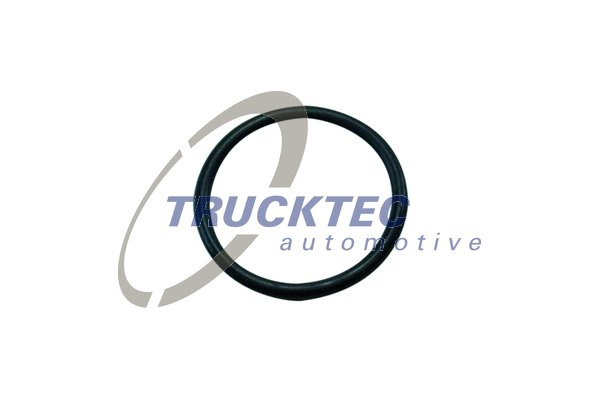 Inel de etansare (0167535 TRUCKTEC)