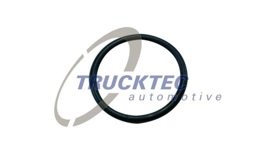 Inel de etansare (0167535 TRUCKTEC)