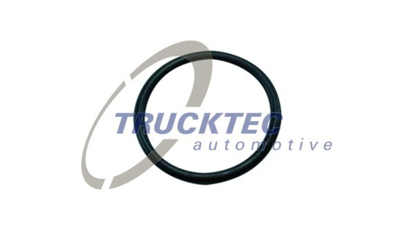 Inel de etansare (0167535 TRUCKTEC)