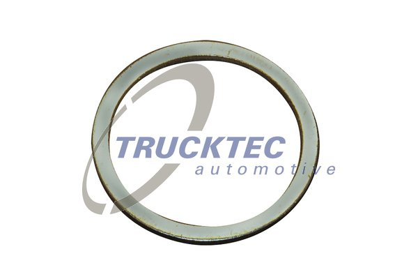 Inel de etansare (0267046 TRUCKTEC)