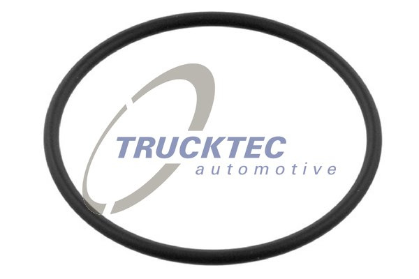 Inel de etansare (0267254 TRUCKTEC)
