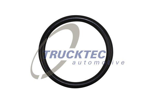 Inel de etansare (0425001 TRUCKTEC)