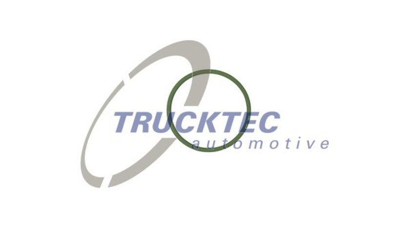 Inel de etansare (0425003 TRUCKTEC)