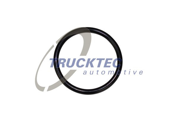 Inel de etansare (0435129 TRUCKTEC)