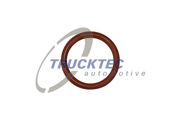 Inel de etansare (0435130 TRUCKTEC)