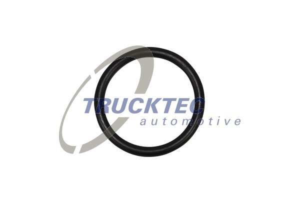 Inel de etansare (0467010 TRUCKTEC)