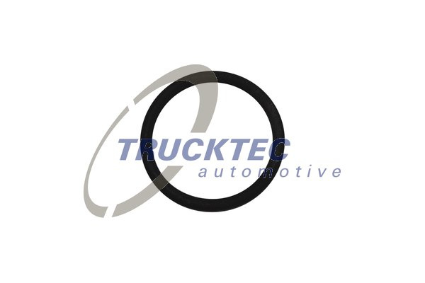 Inel de etansare (0810093 TRUCKTEC)