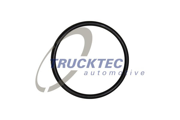 Inel de etansare (0810094 TRUCKTEC)