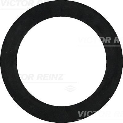 Inel de etansare (407732200 REI)