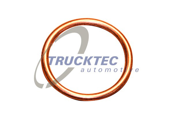 Inel de etansare (8826001 TRUCKTEC)
