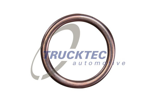 Inel de etansare (8826002 TRUCKTEC)