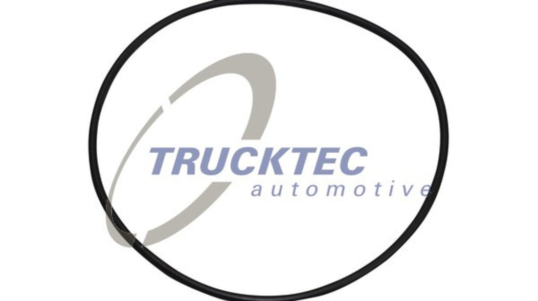 Inel de etansare,butuc roata (0331021 TRUCKTEC) SCANIA,VOLVO