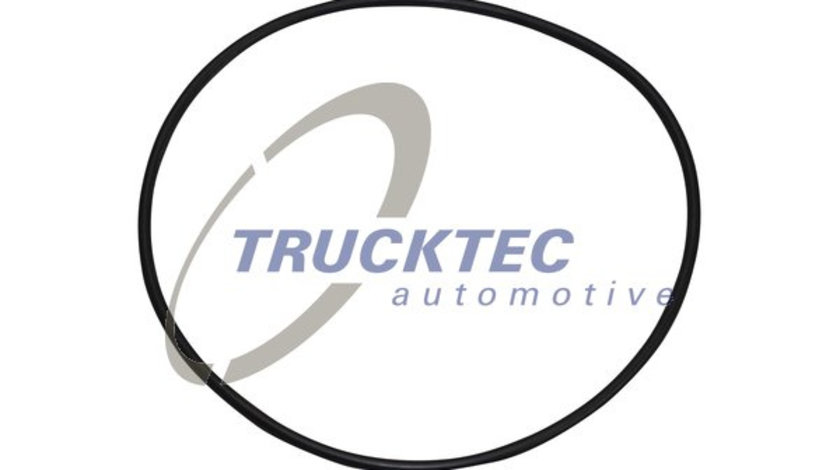 Inel de etansare,butuc roata (0331021 TRUCKTEC) SCANIA,VOLVO