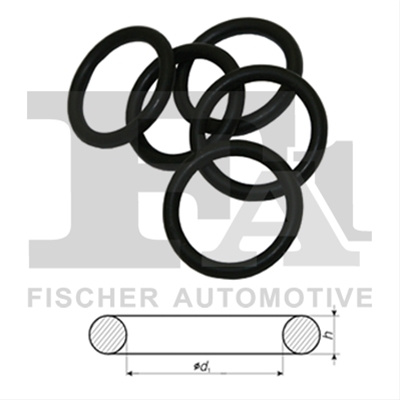 Inel De Etansare Fa1 Ford 244.850.100