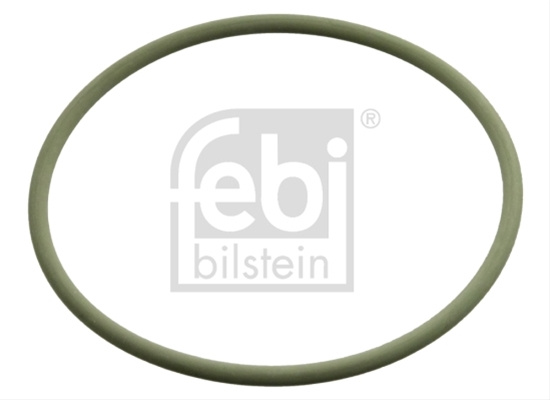Inel De Etansare Febi Man 104629