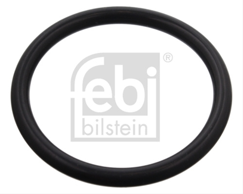 Inel De Etansare Febi Vw 100991
