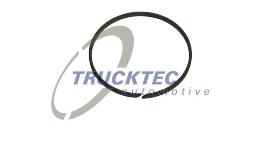 Inel de etansare, maneta schimbator viteze (0124094 TRUCKTEC)