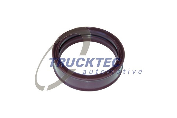 Inel de etansare, maneta schimbator viteze (0124288 TRUCKTEC)