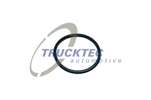 Inel de etansare, maneta schimbator viteze (0167110 TRUCKTEC)