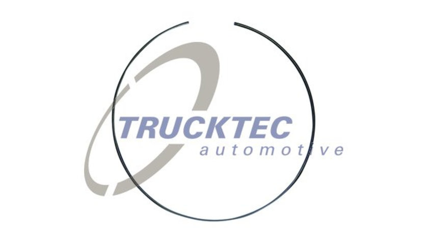 Inel de siguranta (0124312 TRUCKTEC)