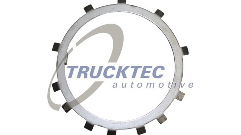 Inel de siguranta (0132011 TRUCKTEC)