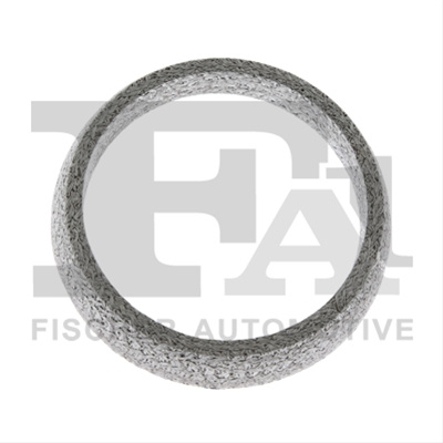 Inel Etansare, Galerie Evacuare Fa1 Ford 131-960
