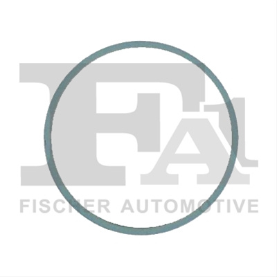 Inel Etansare, Galerie Evacuare Fa1 Ford 131-983