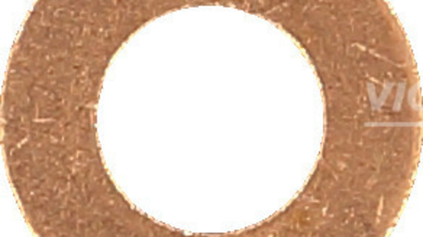 Inel etansare, injector (407004900 VICTOR REINZ)