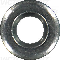 Inel etansare, injector (701673600 VICTOR REINZ)