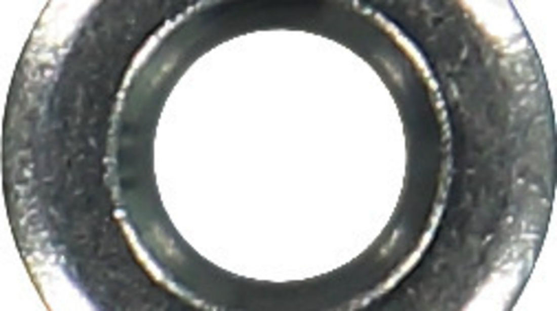 Inel etansare, injector (701673600 VICTOR REINZ)