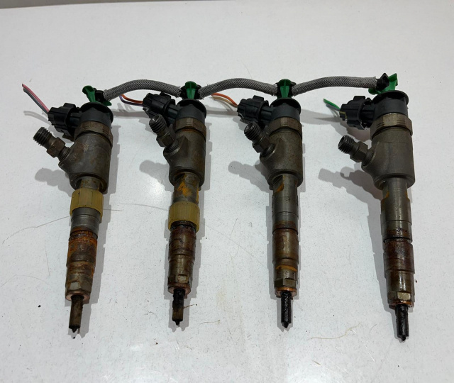 Injectoare 1.6 HDI 0445110739 Citroen C4 Cactus [2014 - 2018]