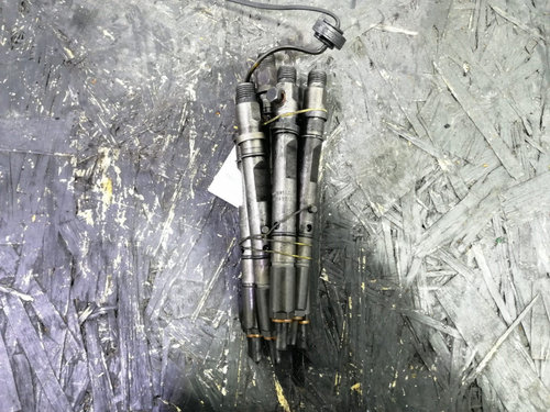 Injectoare 2.5 TDI BAU 0432133795