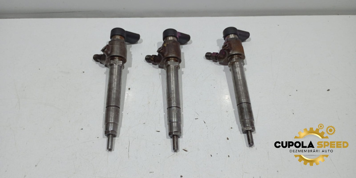 Injectoare 4H2Q-9K546-AE 2.7D Land Rover Discovery 3 [2004 - 2009]