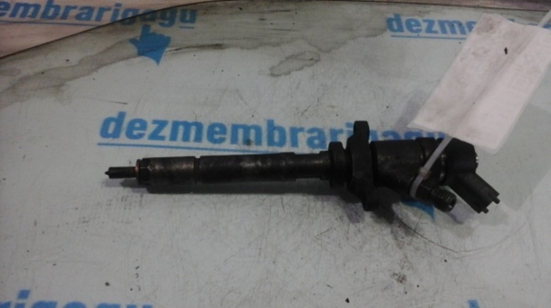 Injectoare Peugeot 407