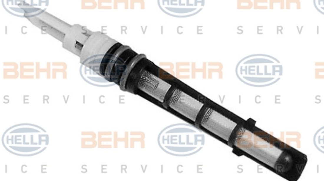 Injectoare, supapa expansiune (8UW351233081 HELLA) FORD