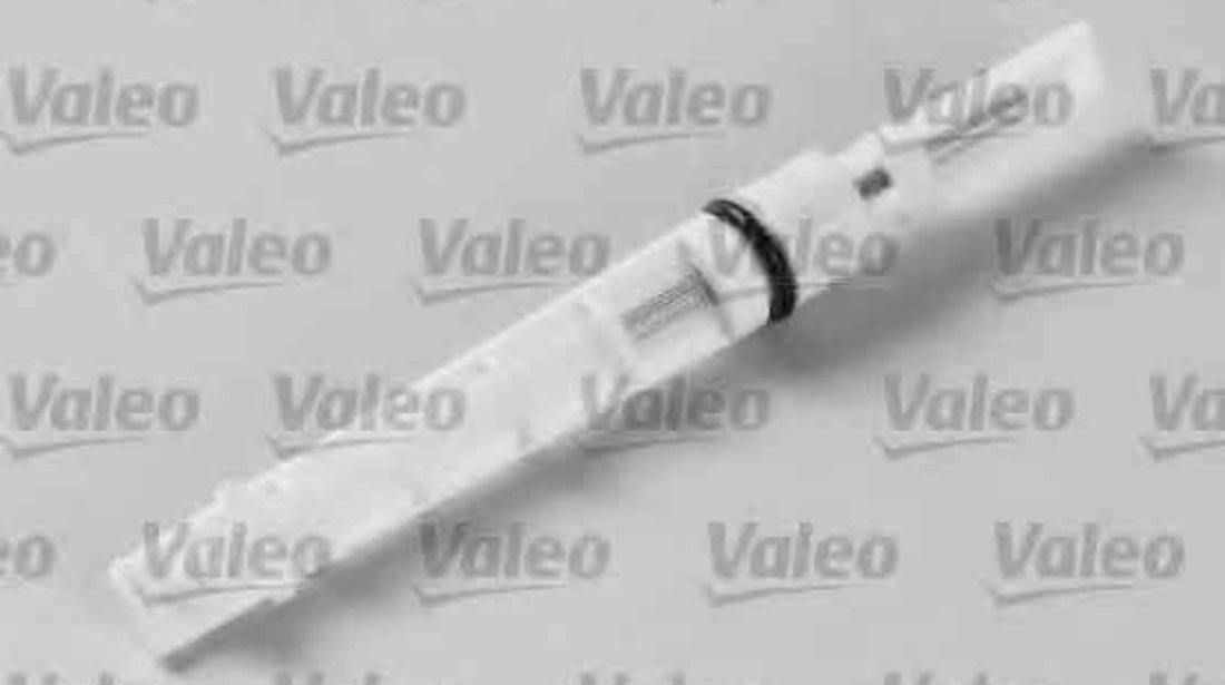 Injectoare, supapa expansiune AUDI 80 (89, 89Q, 8A, B3) VALEO 508970