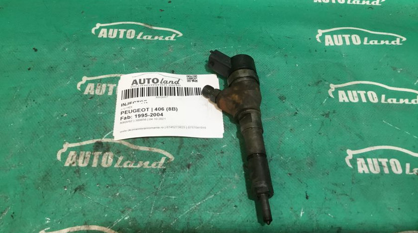 Injector 0445110076 2.0 HDI Peugeot 406 8B 1995-2004