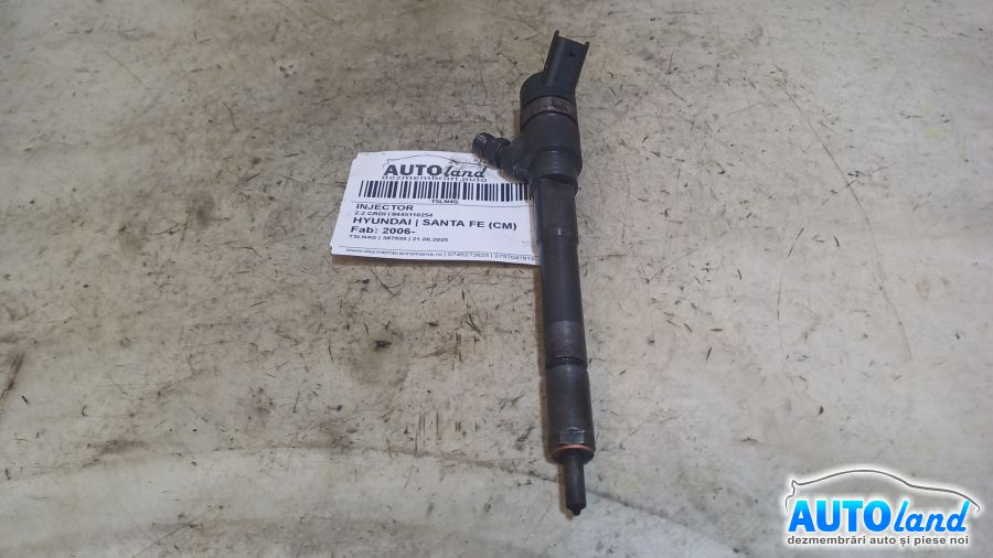 Injector 0445110254 2.2 CRDI Hyundai SANTA FE CM 2006