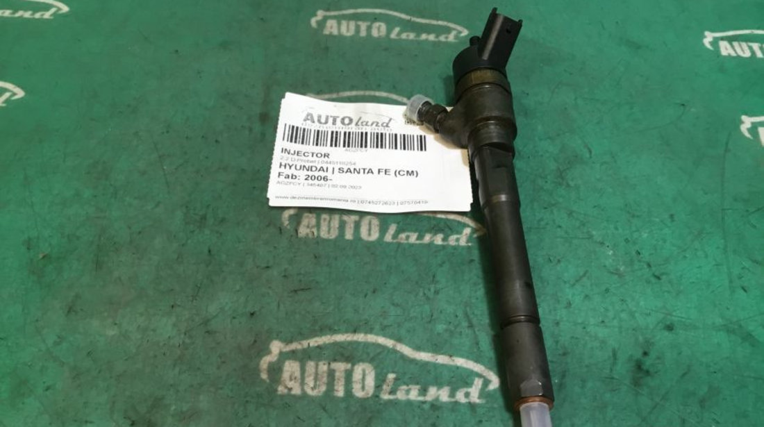 Injector 0445110254 2.2 D Probat Hyundai SANTA FE CM 2006