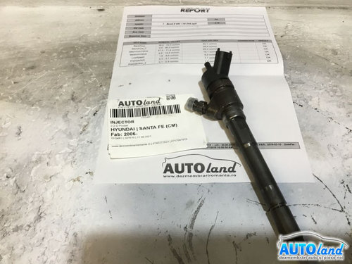 Injector 0445110254 2.2 D Probat Hyundai SANTA FE CM 2006