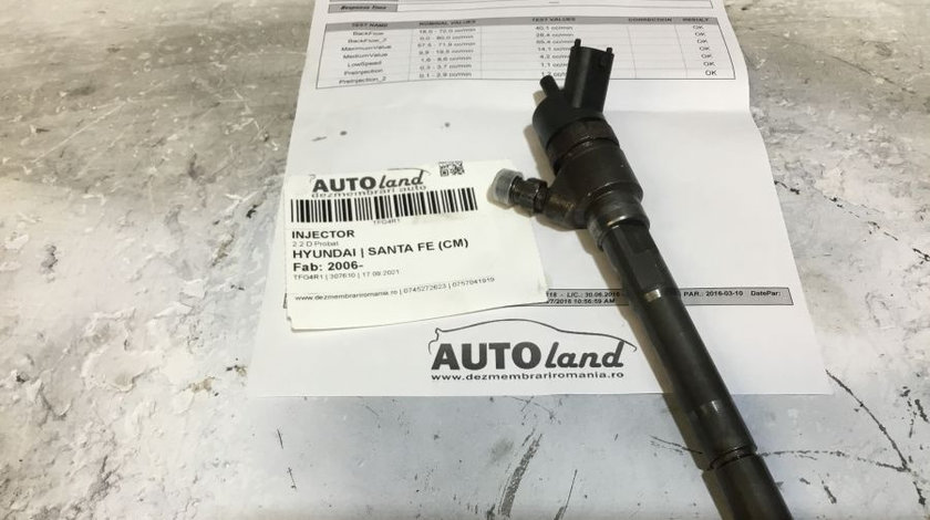 Injector 0445110254 2.2 D Probat Hyundai SANTA FE CM 2006