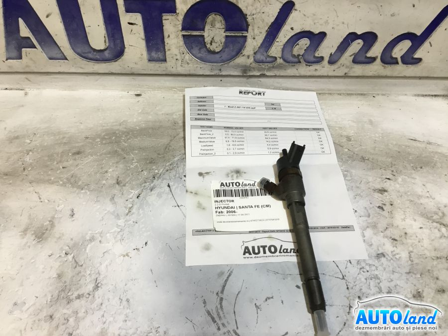 Injector 0445110254 2.2 D Probat Hyundai SANTA FE CM 2006