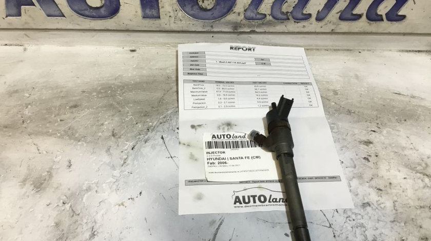 Injector 0445110254 2.2 D Probat Hyundai SANTA FE CM 2006