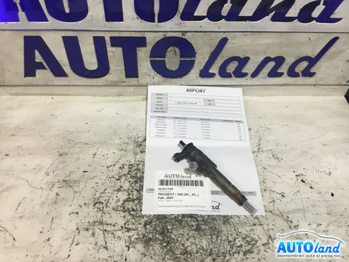 Injector 0445110566 1.6 HDI Probat Peugeot 308 4A ,4C 2007