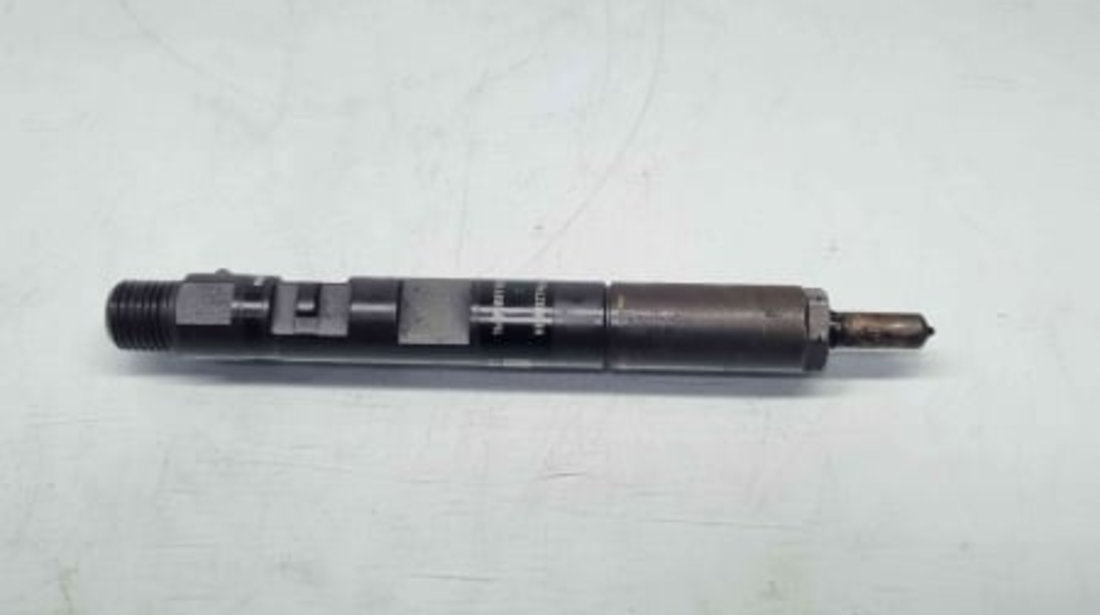 Injector, 166000897R, H8200827965, Dacia Duster, 1.5 dci